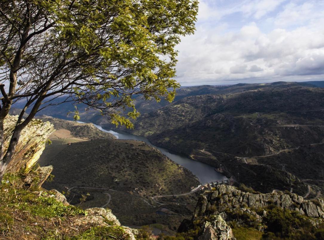 Willa Moradias Do Douro Internacional Freixo de Espada à Cinta Zewnętrze zdjęcie