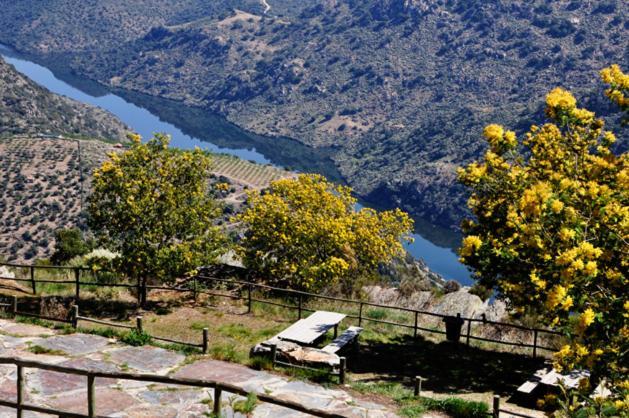Willa Moradias Do Douro Internacional Freixo de Espada à Cinta Zewnętrze zdjęcie